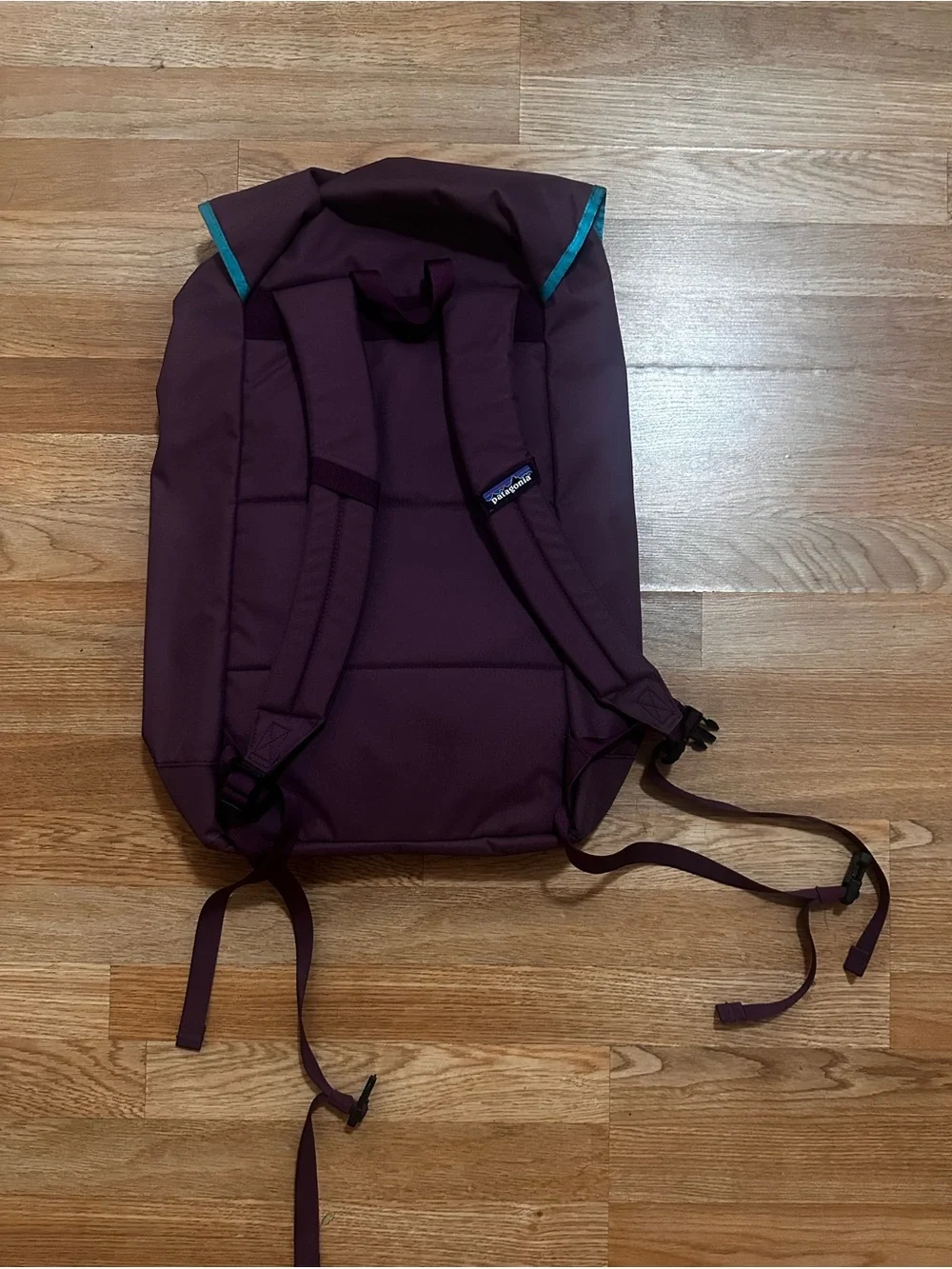 Patagonia Purple Backpack with Teal Accent Trim